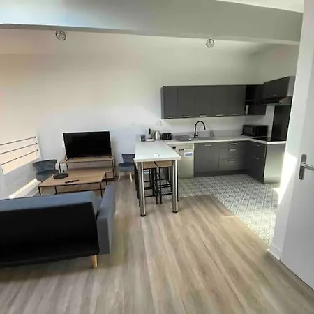 T3 Silencieux Plein Centre Parking Clim Patio Apartment Foix