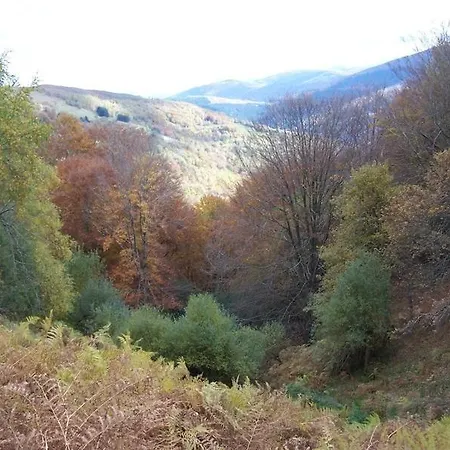 3 Pieces Silencieux Plein Centre Parking Clim Patio 아파트 *