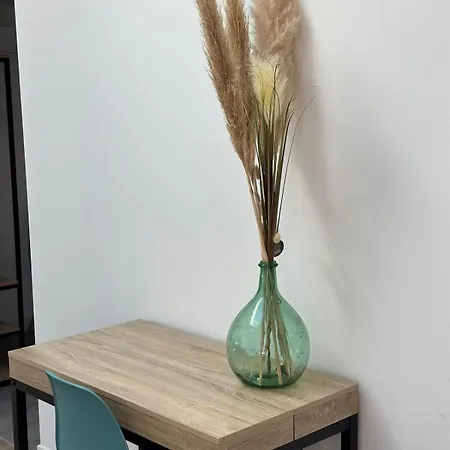 아파트 3 Pieces Silencieux Plein Centre Parking Clim Patio *