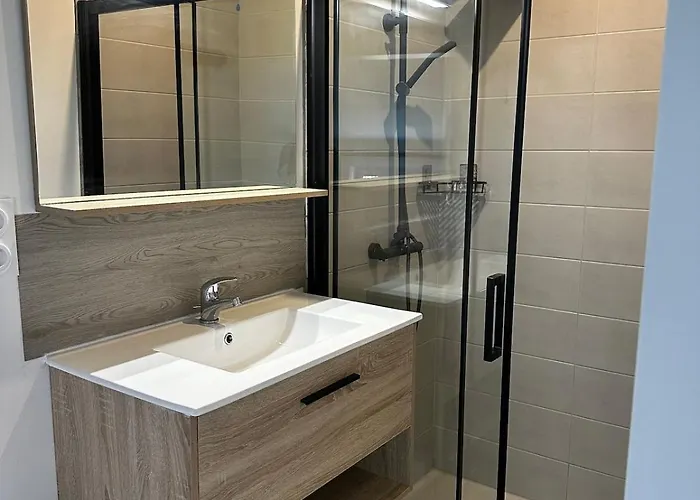 Apartment 3 Pieces Silencieux Plein Centre Parking Clim Patio *