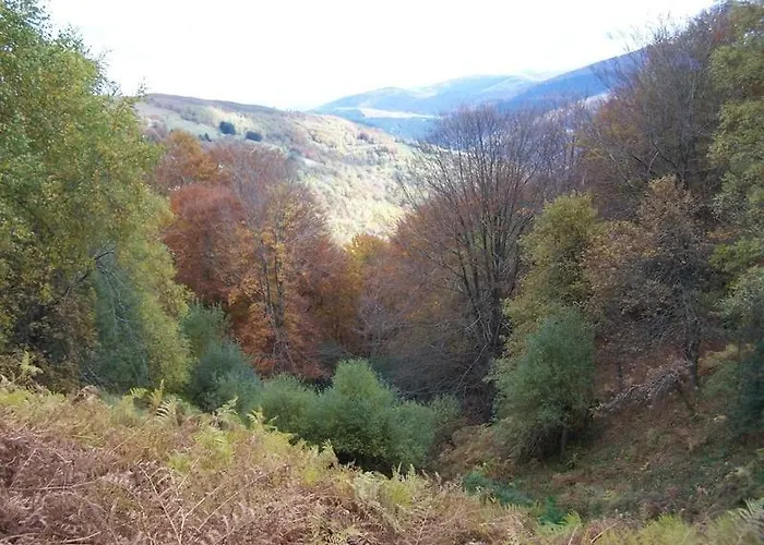 3 Pieces Silencieux Plein Centre Parking Clim Patio Apartment *