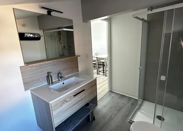 3 Pieces Silencieux Plein Centre Parking Clim Patio Apartment *